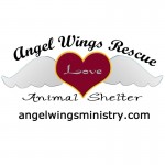 AngelWingsLogo