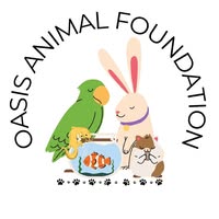 637283824_122194963106462129_4094781029669231082_n oasis animal foundation